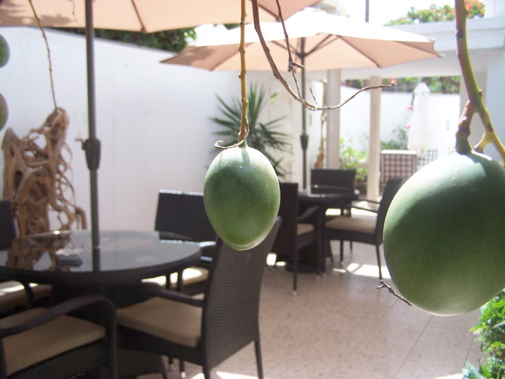 Villa Mermoz Dakar Bagian luar foto